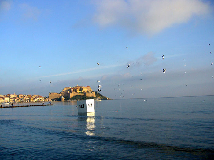 Même les poissons sortent de l'eau pour profiter du Festiventu 2006 !